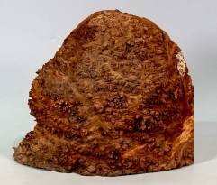 Ppf001 Pfefferminzbaum Maser dekorative Maserkappe 200 x 195 x 60 mm