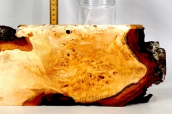 Li053 Linde Maser Dekostück 370 x 150 x 27 mm