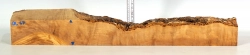 Ol067 Wild-Olivenholz Dekostück mit Rinde 485 x 58 x 54 mm