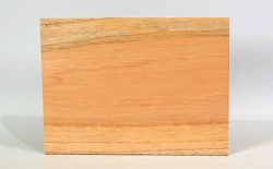 Spz022 Spanische Zeder 286 x 212 x 8 mm