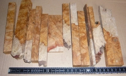 Amb004 Golden Amboina Maser Sortiment  Abschnitte, Reste