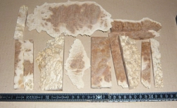 Gf004 Goldfield Maser Sortiment Abschnitte für Hybrid Epoxy?