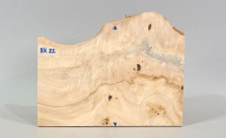 Rk022 Rosskastanie Dekostück 244 x 170 x 10 mm