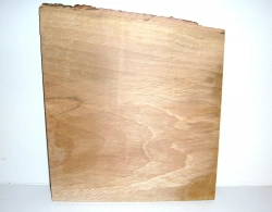 St005 Steineiche Brett m. Baumkante 235 x 200 x 15 mm