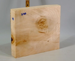 Li040 Linde Block m. Maser 223 x 205 x 42 mm