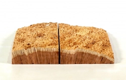 Rm001 Red Mallee Maser 2 Kappenstücke Gesamtmaß 240 x 208 x 24 mm