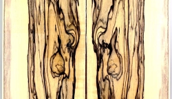 Ebw039 Schwarz-weißes Ebenholz 1 Paar Sägefurnier Deckfläche ca. 630 x 400 x 3 mm