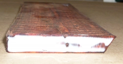 Sl022 Schlangenholz 1A gemasert! 255 x 80 x 15 mm