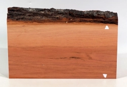 Pf029 Plumtree Wood Board with natuaral edge 217 x 110 x 33 mm