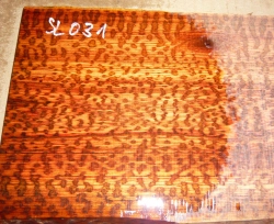 Sl031 Schlangenholz 1A gemasert! 300 x 135 x 9 mm