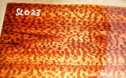 Sl033 Schlangenholz 1A gemasert! 300 x 130 x 9 mm