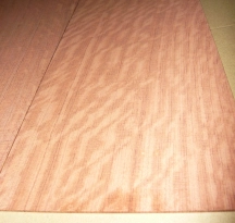Bub006 Bubinga Moiré Sägefurnier 820 x 175 x 2,5 mm